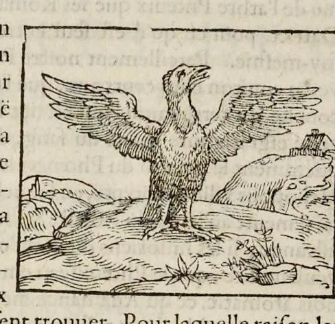 An illustration from Les hieroglyphiques de Ian-Pierre Valerian, vulgairement nommé Pierius. Autrement, commentaires des lettres et figures sacrées des Aegyptiens & autres nations. Oeuure reduicte en cinquante huict liures, ausquels sont adjoincts deux autres, 1615, leaf 291
