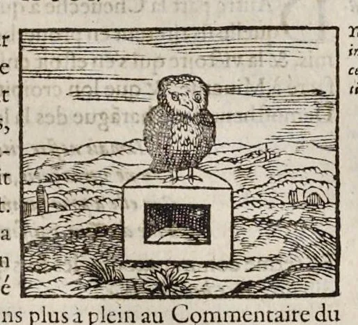 An illustration from Les hieroglyphiques de Ian-Pierre Valerian, vulgairement nommé Pierius. Autrement, commentaires des lettres et figures sacrées des Aegyptiens & autres nations. Oeuure reduicte en cinquante huict liures, ausquels sont adjoincts deux autres, 1615, leaf 294