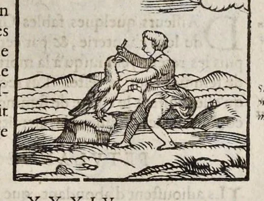 An illustration from Les hieroglyphiques de Ian-Pierre Valerian, vulgairement nommé Pierius. Autrement, commentaires des lettres et figures sacrées des Aegyptiens & autres nations. Oeuure reduicte en cinquante huict liures, ausquels sont adjoincts deux autres, 1615, leaf 300
