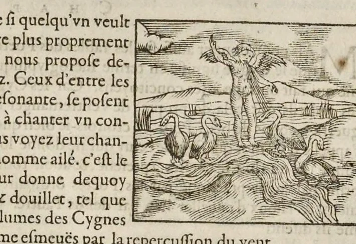 An illustration from Les hieroglyphiques de Ian-Pierre Valerian, vulgairement nommé Pierius. Autrement, commentaires des lettres et figures sacrées des Aegyptiens & autres nations. Oeuure reduicte en cinquante huict liures, ausquels sont adjoincts deux autres, 1615, leaf 329