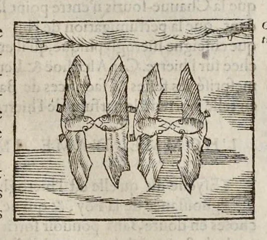 An illustration from Les hieroglyphiques de Ian-Pierre Valerian, vulgairement nommé Pierius. Autrement, commentaires des lettres et figures sacrées des Aegyptiens & autres nations. Oeuure reduicte en cinquante huict liures, ausquels sont adjoincts deux autres, 1615, leaf 354