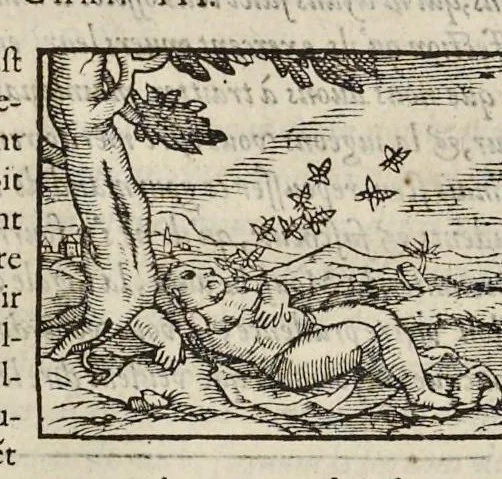 An illustration from Les hieroglyphiques de Ian-Pierre Valerian, vulgairement nommé Pierius. Autrement, commentaires des lettres et figures sacrées des Aegyptiens & autres nations. Oeuure reduicte en cinquante huict liures, ausquels sont adjoincts deux autres, 1615, leaf 367