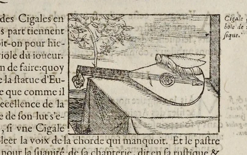 An illustration from Les hieroglyphiques de Ian-Pierre Valerian, vulgairement nommé Pierius. Autrement, commentaires des lettres et figures sacrées des Aegyptiens & autres nations. Oeuure reduicte en cinquante huict liures, ausquels sont adjoincts deux autres, 1615, leaf 380
