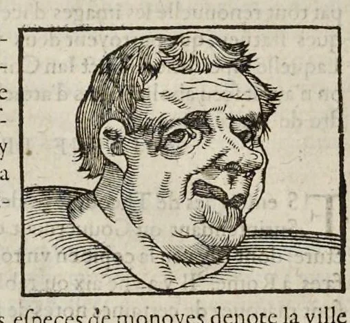 An illustration from Les hieroglyphiques de Ian-Pierre Valerian, vulgairement nommé Pierius. Autrement, commentaires des lettres et figures sacrées des Aegyptiens & autres nations. Oeuure reduicte en cinquante huict liures, ausquels sont adjoincts deux autres, 1615, leaf 445