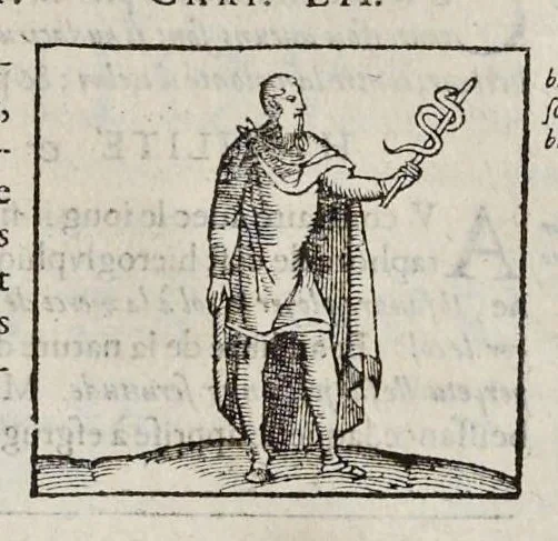 An illustration from Les hieroglyphiques de Ian-Pierre Valerian, vulgairement nommé Pierius. Autrement, commentaires des lettres et figures sacrées des Aegyptiens & autres nations. Oeuure reduicte en cinquante huict liures, ausquels sont adjoincts deux autres, 1615, leaf 454