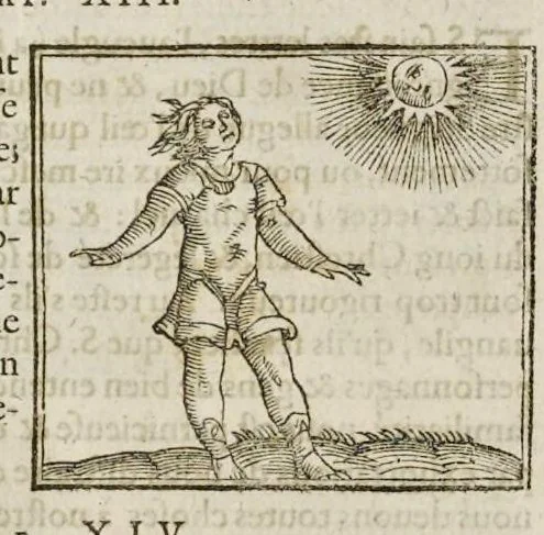 An illustration from Les hieroglyphiques de Ian-Pierre Valerian, vulgairement nommé Pierius. Autrement, commentaires des lettres et figures sacrées des Aegyptiens & autres nations. Oeuure reduicte en cinquante huict liures, ausquels sont adjoincts deux autres, 1615, leaf 461