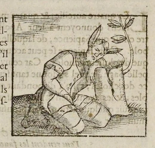 An illustration from Les hieroglyphiques de Ian-Pierre Valerian, vulgairement nommé Pierius. Autrement, commentaires des lettres et figures sacrées des Aegyptiens & autres nations. Oeuure reduicte en cinquante huict liures, ausquels sont adjoincts deux autres, 1615, leaf 465