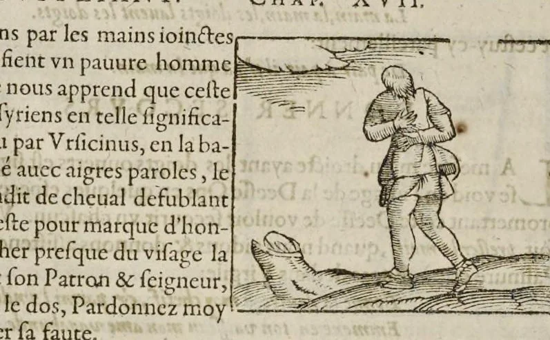 An illustration from Les hieroglyphiques de Ian-Pierre Valerian, vulgairement nommé Pierius. Autrement, commentaires des lettres et figures sacrées des Aegyptiens & autres nations. Oeuure reduicte en cinquante huict liures, ausquels sont adjoincts deux autres, 1615, leaf 495