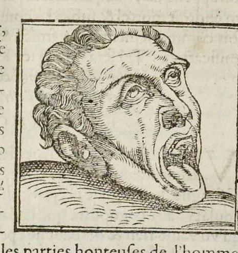 An illustration from Les hieroglyphiques de Ian-Pierre Valerian, vulgairement nommé Pierius. Autrement, commentaires des lettres et figures sacrées des Aegyptiens & autres nations. Oeuure reduicte en cinquante huict liures, ausquels sont adjoincts deux autres, 1615, leaf 499
