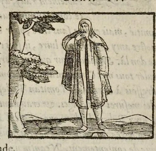 An illustration from Les hieroglyphiques de Ian-Pierre Valerian, vulgairement nommé Pierius. Autrement, commentaires des lettres et figures sacrées des Aegyptiens & autres nations. Oeuure reduicte en cinquante huict liures, ausquels sont adjoincts deux autres, 1615, leaf 507
