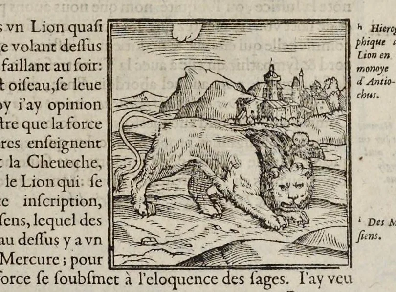 An illustration from Les hieroglyphiques de Ian-Pierre Valerian, vulgairement nommé Pierius. Autrement, commentaires des lettres et figures sacrées des Aegyptiens & autres nations. Oeuure reduicte en cinquante huict liures, ausquels sont adjoincts deux autres, 1615, leaf 54