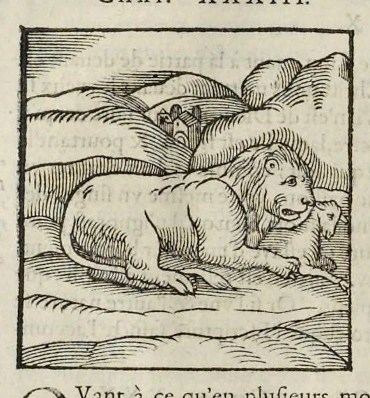 An illustration from Les hieroglyphiques de Ian-Pierre Valerian, vulgairement nommé Pierius. Autrement, commentaires des lettres et figures sacrées des Aegyptiens & autres nations. Oeuure reduicte en cinquante huict liures, ausquels sont adjoincts deux autres, 1615, leaf 57