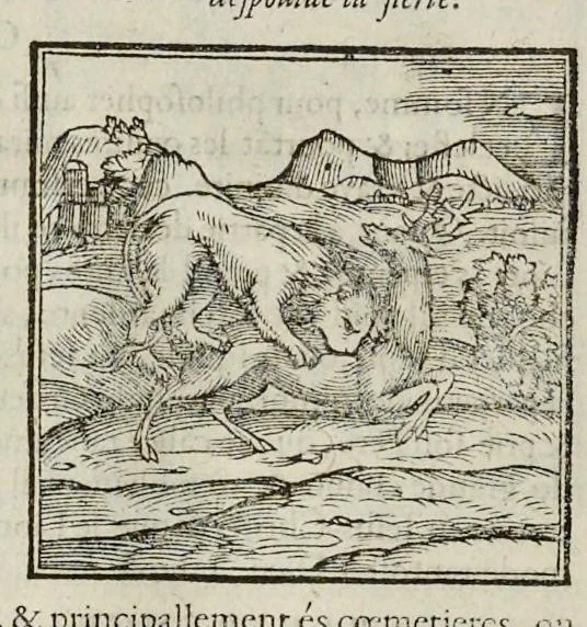 An illustration from Les hieroglyphiques de Ian-Pierre Valerian, vulgairement nommé Pierius. Autrement, commentaires des lettres et figures sacrées des Aegyptiens & autres nations. Oeuure reduicte en cinquante huict liures, ausquels sont adjoincts deux autres, 1615, leaf 57