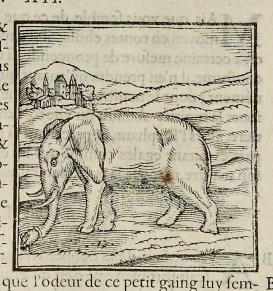 An illustration from Les hieroglyphiques de Ian-Pierre Valerian, vulgairement nommé Pierius. Autrement, commentaires des lettres et figures sacrées des Aegyptiens & autres nations. Oeuure reduicte en cinquante huict liures, ausquels sont adjoincts deux autres, 1615, leaf 63