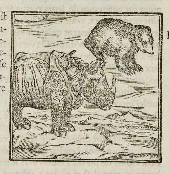 An illustration from Les hieroglyphiques de Ian-Pierre Valerian, vulgairement nommé Pierius. Autrement, commentaires des lettres et figures sacrées des Aegyptiens & autres nations. Oeuure reduicte en cinquante huict liures, ausquels sont adjoincts deux autres, 1615, leaf 67