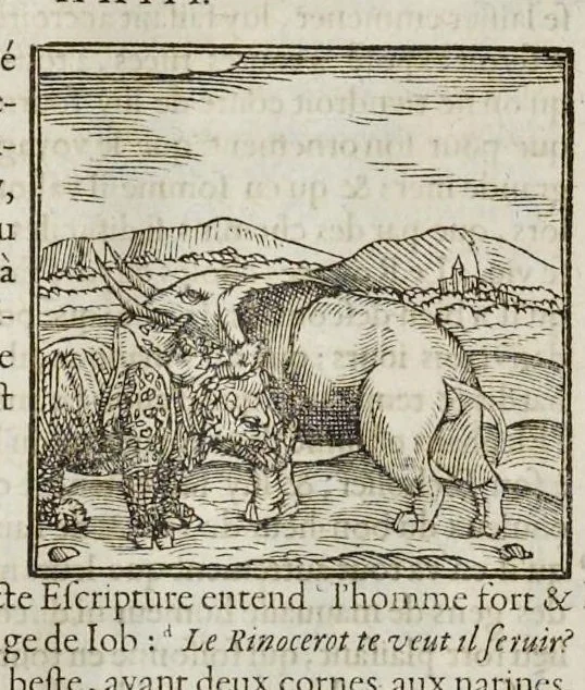 An illustration from Les hieroglyphiques de Ian-Pierre Valerian, vulgairement nommé Pierius. Autrement, commentaires des lettres et figures sacrées des Aegyptiens & autres nations. Oeuure reduicte en cinquante huict liures, ausquels sont adjoincts deux autres, 1615, leaf 67