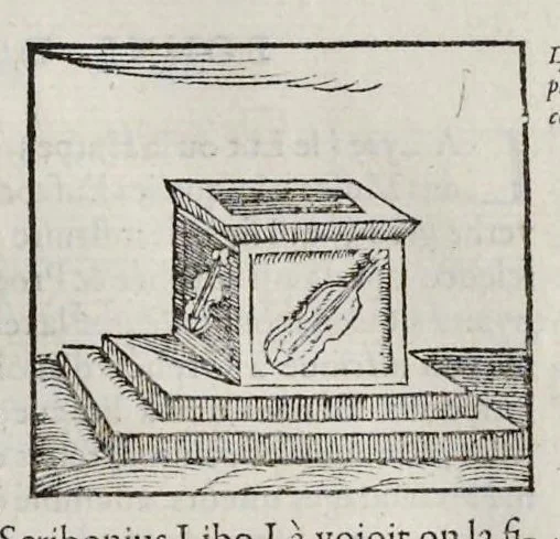 An illustration from Les hieroglyphiques de Ian-Pierre Valerian, vulgairement nommé Pierius. Autrement, commentaires des lettres et figures sacrées des Aegyptiens & autres nations. Oeuure reduicte en cinquante huict liures, ausquels sont adjoincts deux autres, 1615, leaf 670