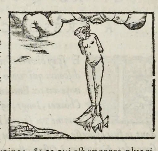 An illustration from Les hieroglyphiques de Ian-Pierre Valerian, vulgairement nommé Pierius. Autrement, commentaires des lettres et figures sacrées des Aegyptiens & autres nations. Oeuure reduicte en cinquante huict liures, ausquels sont adjoincts deux autres, 1615, leaf 683
