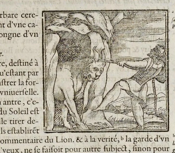 An illustration from Les hieroglyphiques de Ian-Pierre Valerian, vulgairement nommé Pierius. Autrement, commentaires des lettres et figures sacrées des Aegyptiens & autres nations. Oeuure reduicte en cinquante huict liures, ausquels sont adjoincts deux autres, 1615, leaf 76