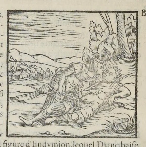 An illustration from Les hieroglyphiques de Ian-Pierre Valerian, vulgairement nommé Pierius. Autrement, commentaires des lettres et figures sacrées des Aegyptiens & autres nations. Oeuure reduicte en cinquante huict liures, ausquels sont adjoincts deux autres, 1615, leaf 829
