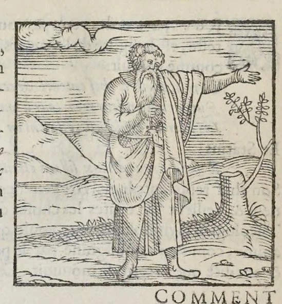 An illustration from Les hieroglyphiques de Ian-Pierre Valerian, vulgairement nommé Pierius. Autrement, commentaires des lettres et figures sacrées des Aegyptiens & autres nations. Oeuure reduicte en cinquante huict liures, ausquels sont adjoincts deux autres, 1615, leaf 829