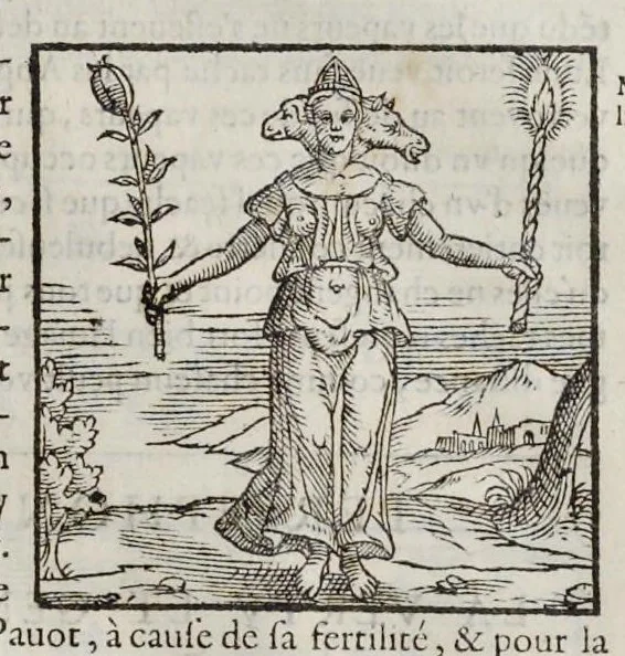 An illustration from Les hieroglyphiques de Ian-Pierre Valerian, vulgairement nommé Pierius. Autrement, commentaires des lettres et figures sacrées des Aegyptiens & autres nations. Oeuure reduicte en cinquante huict liures, ausquels sont adjoincts deux autres, 1615, leaf 832