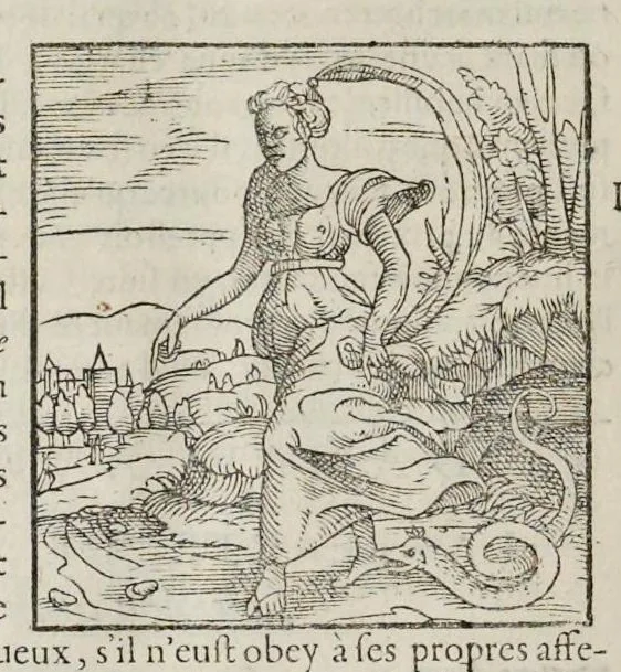 An illustration from Les hieroglyphiques de Ian-Pierre Valerian, vulgairement nommé Pierius. Autrement, commentaires des lettres et figures sacrées des Aegyptiens & autres nations. Oeuure reduicte en cinquante huict liures, ausquels sont adjoincts deux autres, 1615, leaf 835