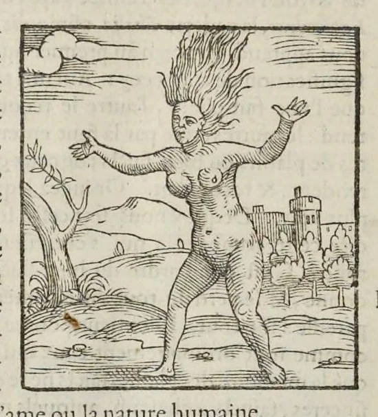 An illustration from Les hieroglyphiques de Ian-Pierre Valerian, vulgairement nommé Pierius. Autrement, commentaires des lettres et figures sacrées des Aegyptiens & autres nations. Oeuure reduicte en cinquante huict liures, ausquels sont adjoincts deux autres, 1615, leaf 837