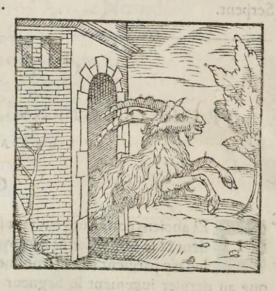 An illustration from Les hieroglyphiques de Ian-Pierre Valerian, vulgairement nommé Pierius. Autrement, commentaires des lettres et figures sacrées des Aegyptiens & autres nations. Oeuure reduicte en cinquante huict liures, ausquels sont adjoincts deux autres, 1615, leaf 841