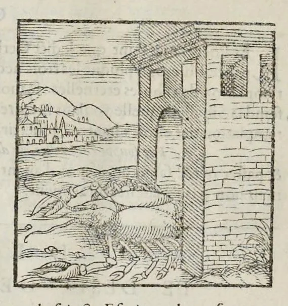 An illustration from Les hieroglyphiques de Ian-Pierre Valerian, vulgairement nommé Pierius. Autrement, commentaires des lettres et figures sacrées des Aegyptiens & autres nations. Oeuure reduicte en cinquante huict liures, ausquels sont adjoincts deux autres, 1615, leaf 841