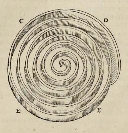 An illustration from Les dix livres d'architecture de Vitruve, corrigez et traduits nouvellement en françois, avec des notes & des figures, 1673, leaf 302