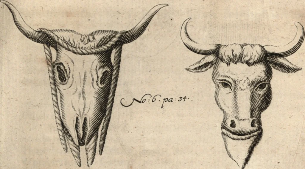 An illustration from Joh. Baptistae Casalii Romani De profanis et sacris veteribus ritibus opus tripartitum : cujus prima pars agit de profanis Ægyptiorum ritibus ... ; secunda pars agit de profanis Romanorum ritibus ... ; tertia pars agit de sacris Christianorum ritibus ... ; accedunt indices capitum, rerum item & verborum copiosissimi, & accuratissimi, 1681, leaf 56