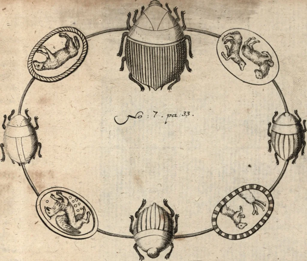 An illustration from Joh. Baptistae Casalii Romani De profanis et sacris veteribus ritibus opus tripartitum : cujus prima pars agit de profanis Ægyptiorum ritibus ... ; secunda pars agit de profanis Romanorum ritibus ... ; tertia pars agit de sacris Christianorum ritibus ... ; accedunt indices capitum, rerum item & verborum copiosissimi, & accuratissimi, 1681, leaf 56
