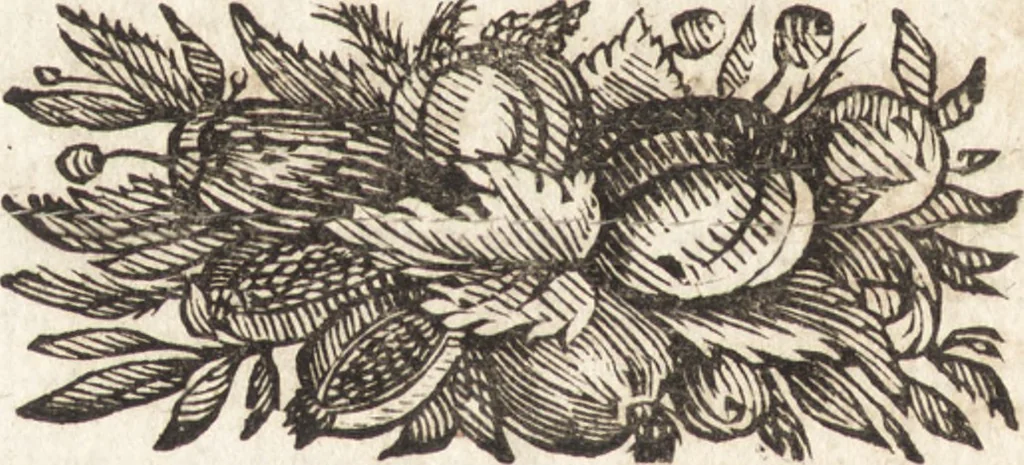 An illustration from Joh. Baptistae Casalii Romani De profanis et sacris veteribus ritibus opus tripartitum : cujus prima pars agit de profanis Ægyptiorum ritibus ... ; secunda pars agit de profanis Romanorum ritibus ... ; tertia pars agit de sacris Christianorum ritibus ... ; accedunt indices capitum, rerum item & verborum copiosissimi, & accuratissimi, 1681, leaf 95