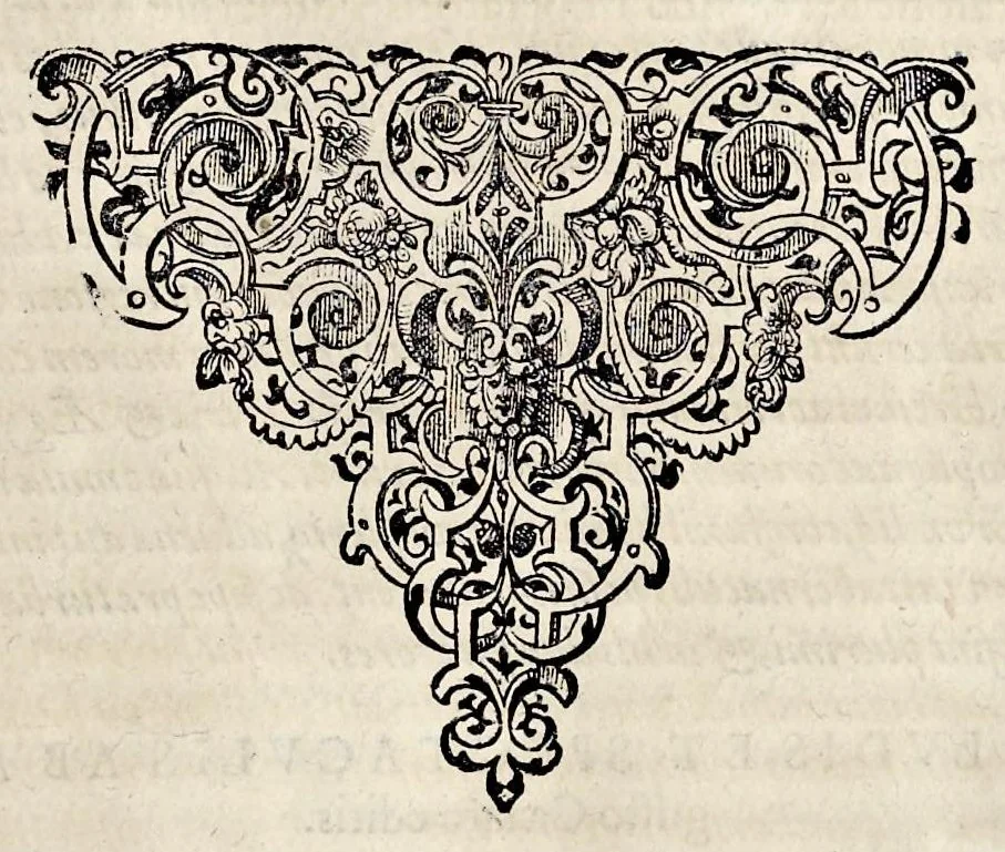An illustration from Pandectae trivmphales, siue, Pomparvm et festorvm ac solennivm apparatvvm, conviviorvm, spectacvlorvm, simvlacrorvm bellicorvm equestrivm et pedestrivm, navmachiarum, ludorum deniq[ue] omnium nobiliorum, quot hactenus vbiq[ue] gentium re bello bene gesta ... edita concelebrataque sunt, tomi dvo : qvorvm prior de trivmphis ... heroum ... tractat : posterior ... hastilvdiorvm per Germaniam tradit initia ..., 1586, leaf 222