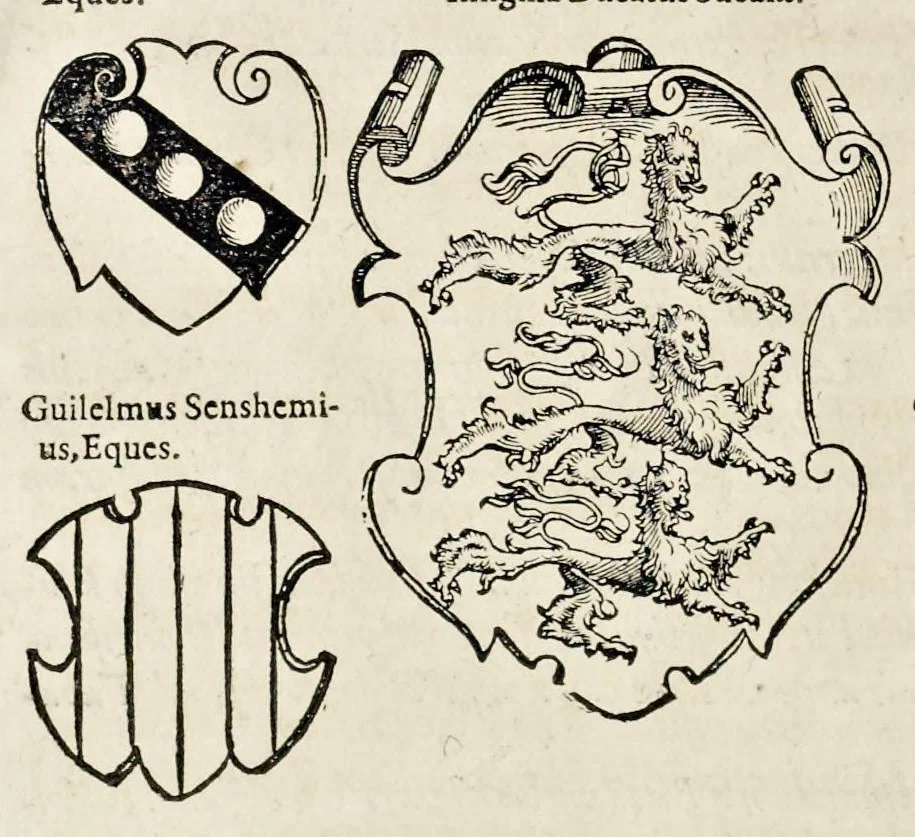 An illustration from Pandectae trivmphales, siue, Pomparvm et festorvm ac solennivm apparatvvm, conviviorvm, spectacvlorvm, simvlacrorvm bellicorvm equestrivm et pedestrivm, navmachiarum, ludorum deniq[ue] omnium nobiliorum, quot hactenus vbiq[ue] gentium re bello bene gesta ... edita concelebrataque sunt, tomi dvo : qvorvm prior de trivmphis ... heroum ... tractat : posterior ... hastilvdiorvm per Germaniam tradit initia ..., 1586, leaf 679