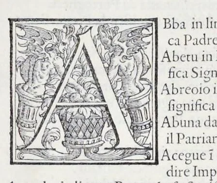 An illustration from Geografia di M. Livio Sanvto, distinta in XII libri : ne' quali, oltra l'esplicatione di molti luoghi di Tolomeo e della Bussola, e dell' Aguglia, si dichiarano le prouincie, popoli, regni, città, porti, monti, fiumi, laghi, e costumi dell'Africa : con XII tauole di essa Africa in dissegno di rame : aggiuntiui de piu tre indicci da M. Giovan Carlo Saraceni, 1588, leaf 50