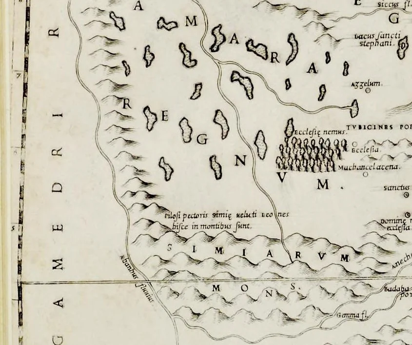 An illustration from Geografia di M. Livio Sanvto, distinta in XII libri : ne' quali, oltra l'esplicatione di molti luoghi di Tolomeo e della Bussola, e dell' Aguglia, si dichiarano le prouincie, popoli, regni, città, porti, monti, fiumi, laghi, e costumi dell'Africa : con XII tauole di essa Africa in dissegno di rame : aggiuntiui de piu tre indicci da M. Giovan Carlo Saraceni, 1588, leaf 85