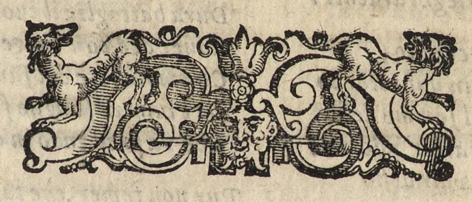An illustration from Il fido amante : poema eroico, 1582, leaf 108
