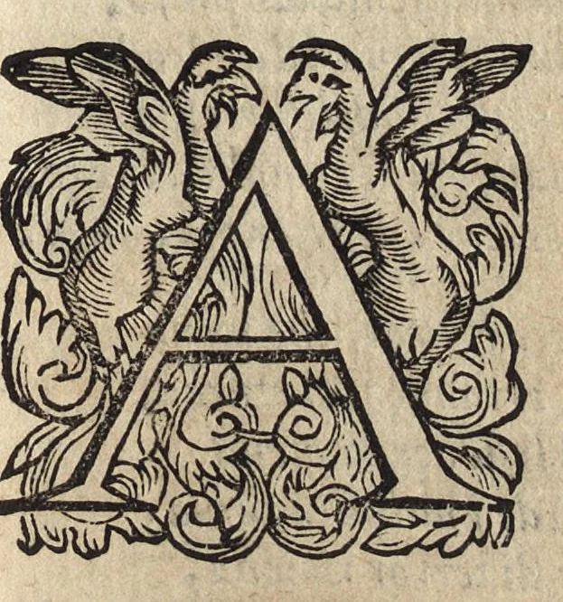 An illustration from Il fido amante : poema eroico, 1582, leaf 142