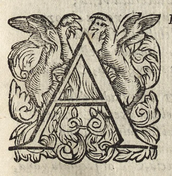 An illustration from Il fido amante : poema eroico, 1582, leaf 166