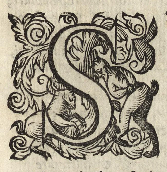 An illustration from Il fido amante : poema eroico, 1582, leaf 188