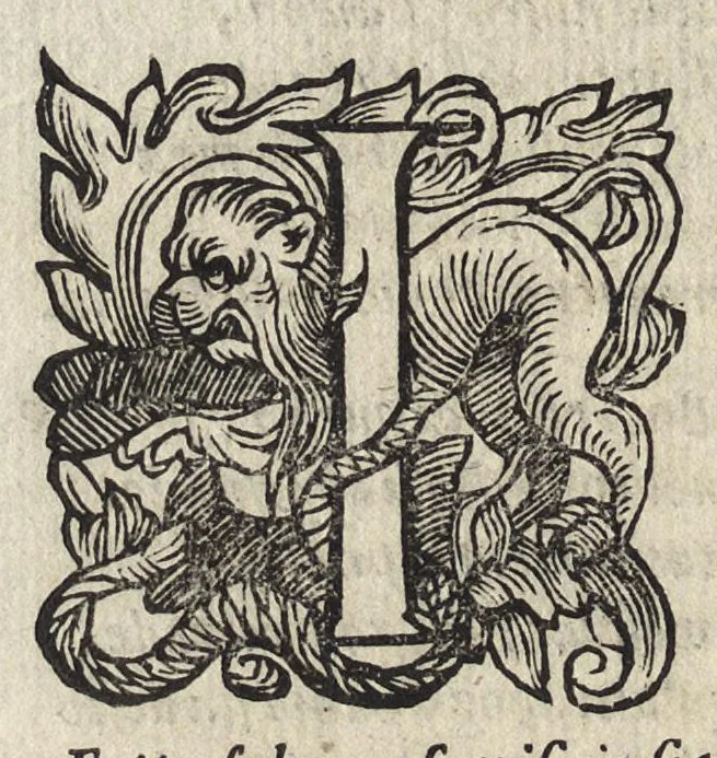 An illustration from Il fido amante : poema eroico, 1582, leaf 225