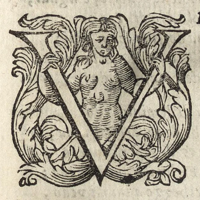 An illustration from Il fido amante : poema eroico, 1582, leaf 238