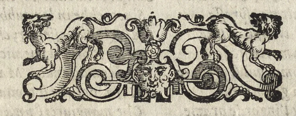 An illustration from Il fido amante : poema eroico, 1582, leaf 249