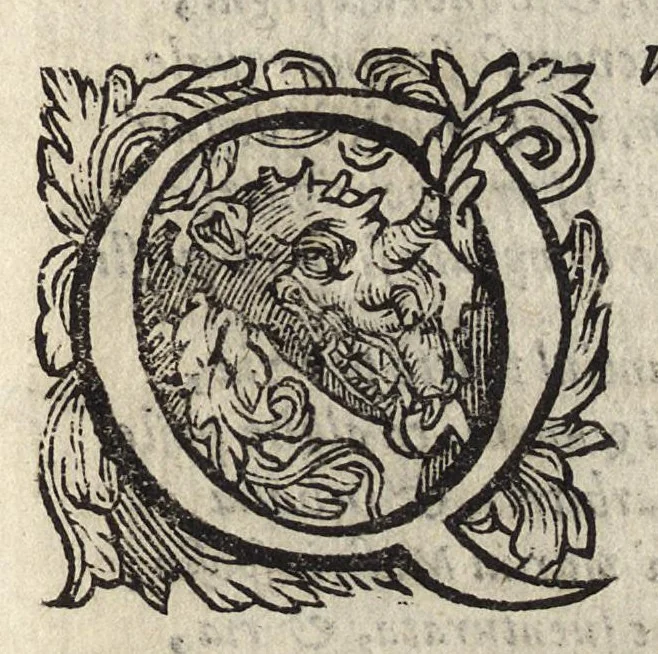 An illustration from Il fido amante : poema eroico, 1582, leaf 260