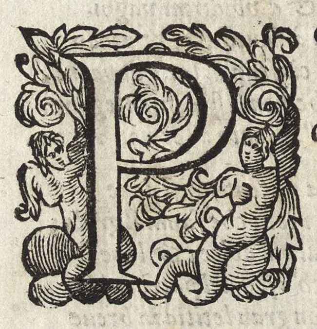 An illustration from Il fido amante : poema eroico, 1582, leaf 271