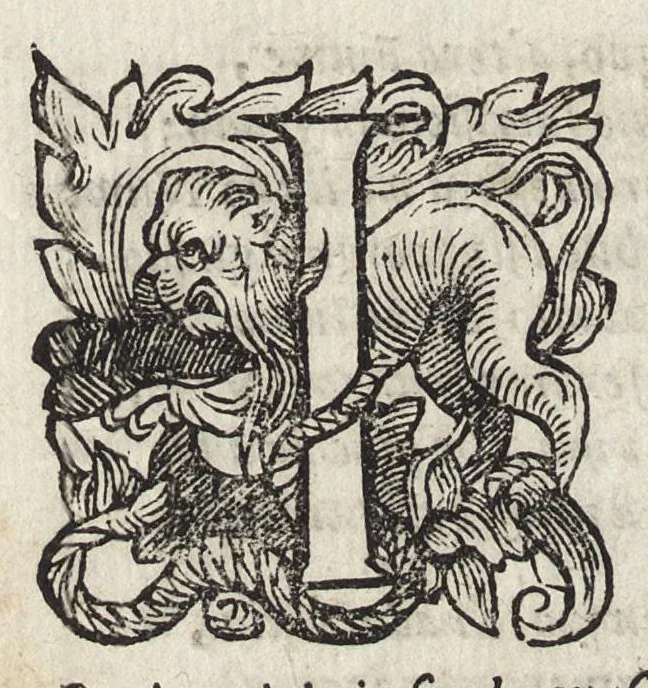 An illustration from Il fido amante : poema eroico, 1582, leaf 283