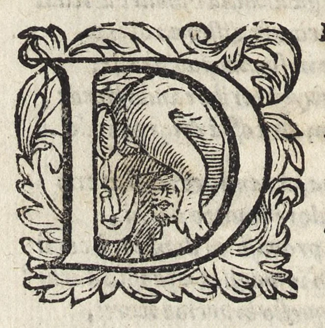 An illustration from Il fido amante : poema eroico, 1582, leaf 295