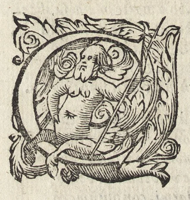 An illustration from Il fido amante : poema eroico, 1582, leaf 307